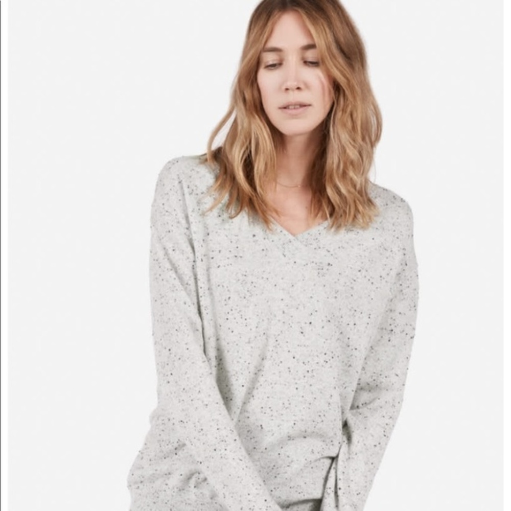 Everlane cashmere v-neck gray speckled sweater